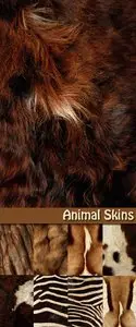 Animal Skins