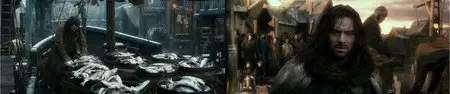 The Hobbit: The Desolation of Smaug (2013)