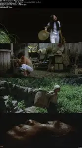 Tabi no omosa / Journey Into Solitude (1972)
