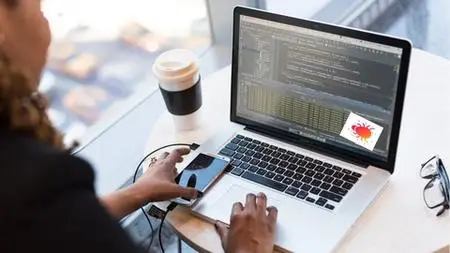 Software Testing: A Comprehensive Fundamentals Course