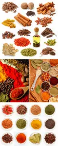 Stock Photo - Spices