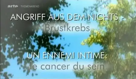 Brustkrebs: Angriff aus dem Nichts (2011)