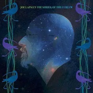 Joe Lapsley - The Shriek Of The Curlew (2017)