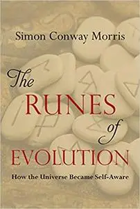 The Runes of Evolution: How the Universe became Self-Aware