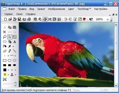 HyperSnap 6.61.02 + Rus + Portable