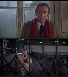 The Destructors (1974) The Marseille Contract