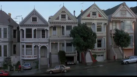 The Woman in Red (1984)