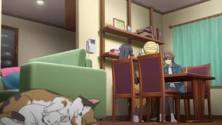 Rascal Does Not Dream of Bunny Girl Senpai - S01E12 (BDRip 1080p HEVC Opus E-AC-3