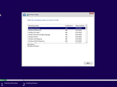 Windows 11 24H2 (No TPM Required) & Windows 10 22H2 AIO 32in1 Preactivated August 2025