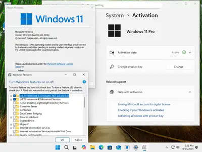 Windows 11 24H2 (No TPM Required) & Windows 10 22H2 AIO 32in1 Preactivated August 2025