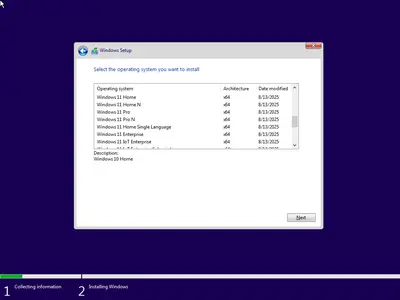 Windows 11 24H2 (No TPM Required) & Windows 10 22H2 AIO 32in1 Preactivated August 2025