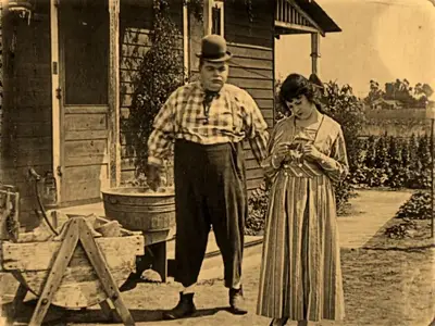 The Hayseed (1919)