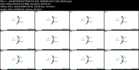 SQL Server Administration On Linux Operating System