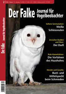 Der Falke Journal für Vogelbeobachter - Februar 2025