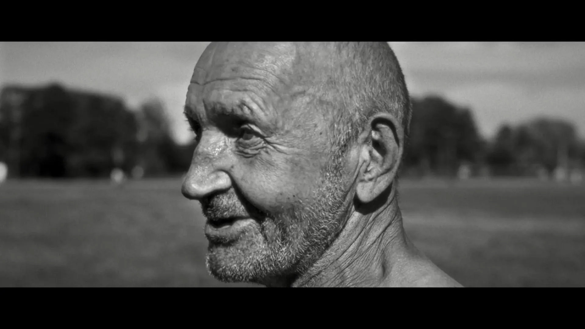 Hippodrome (2021)