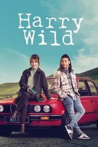 Harry Wild S01E06