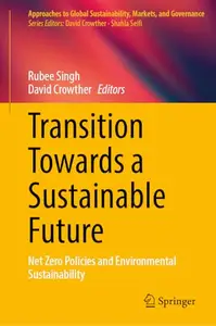 Transition Towards a Sustainable Future: Net Zero Policies and Environmental Sustainability