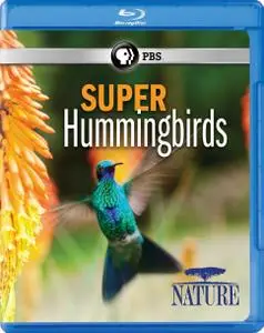 Super Hummingbirds (2016)