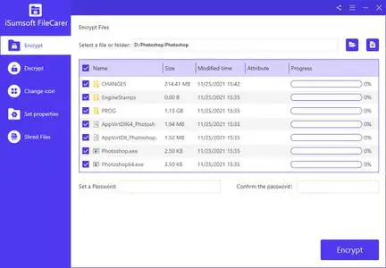 iSumsoft FileCarer 3.1.0.4