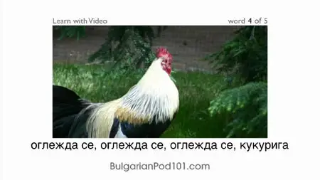 BulgarianPod101