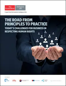 The Economist (Intelligence Unit) - The Road from Principles to Practice (2015)