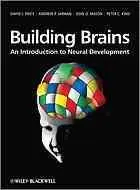 Building brains : an introduction to neural development