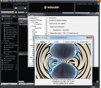 Winamp Pro 5.666 Build 3516