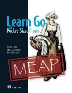 Learn Go with Pocket-Sized Projects (MEAP V07)