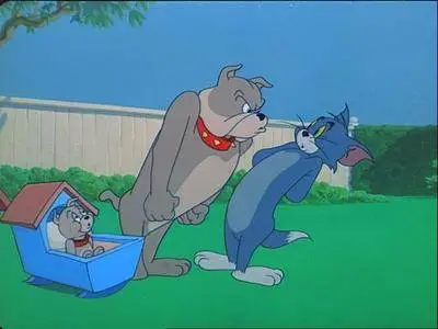 Tom and Jerry: Classic Collection. Volume 4 (1940-1945)