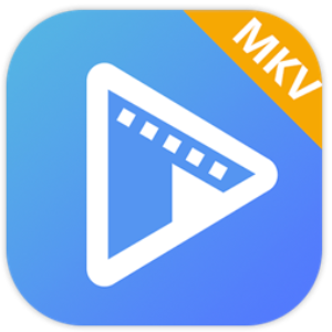 AVAide MKV Converter for Mac 1.0.16