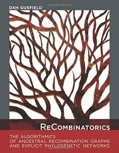 ReCombinatorics: The Algorithmics of Ancestral Recombination Graphs and Explicit Phylogenetic Networks