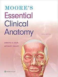 Moore's Essential Clinical Anatomy 6th Edition