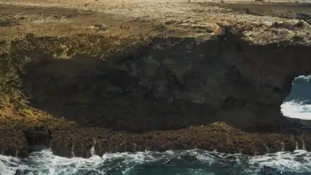 Reef Wrecks (2017)