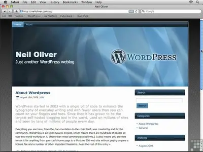 WordPress Training Video