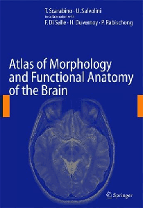 Atlas of Morphology and Functional Anatomy of the Brain by T. Scarabino [Repost]