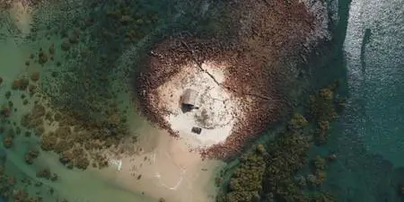 BBC - The Beach: Isolation in Paradise (2020)