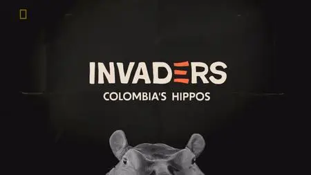 NG. - Invaders: Colombia's Hippos (2023)