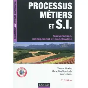 Processus métiers et S.I. - Gouvernance, management, modélisation - 3e édition (repost)