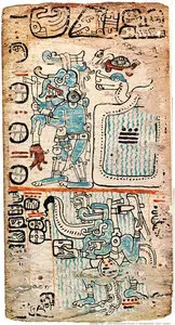 Maya codices