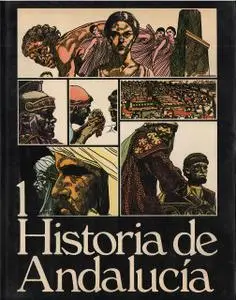 Historia de Andalucía 3 tomos
