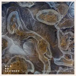 Nils Bo Davidsen - Hverdagsforvandling (2019) {ILK Music ILK291}