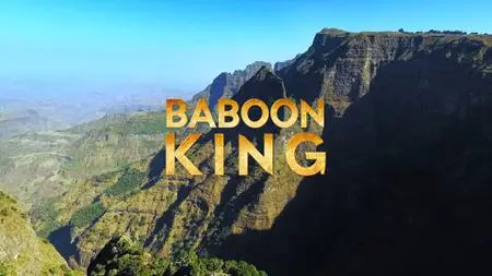Baboon King (2017)