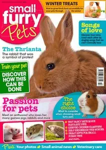 Small Furry Pets – October-November 2015