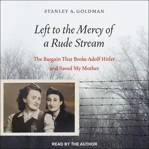 «Left to the Mercy of a Rude Stream» by Stanley A. Goldman