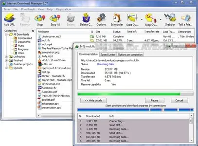 Internet Download Manager 6.23 Build 20
