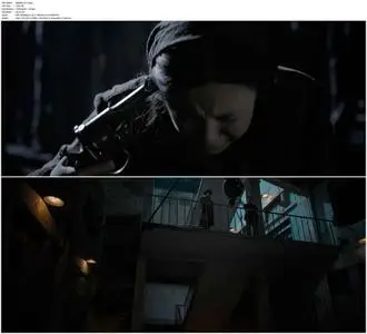 The Bullet Vanishes (2012)