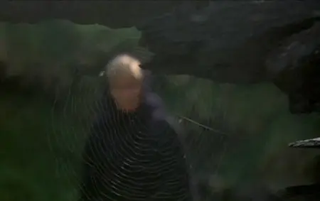 Ring of bright water (1969)