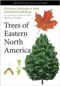 Trees of Eastern North America (Repost)