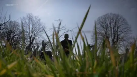 BBC - A Year in an English Garden: Flicker and Pulse (2017)