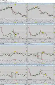 Forexmentor - Fibonacci Swing Trader Foundation Course by Frank Paul